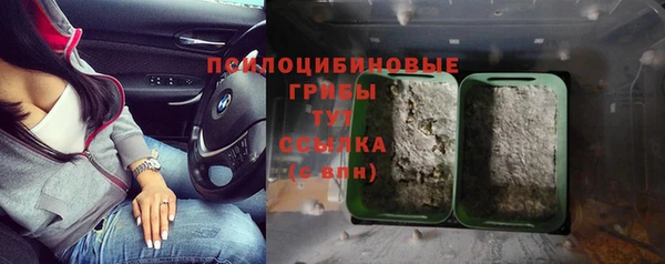твердый Армянск