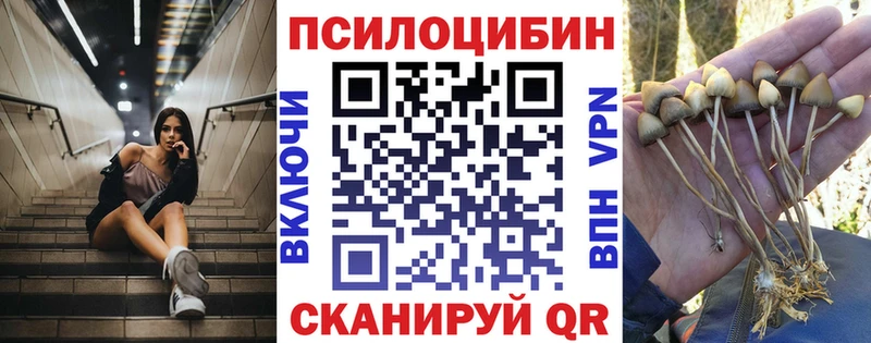 blacksprut как зайти  Югорск  Псилоцибиновые грибы Cubensis 